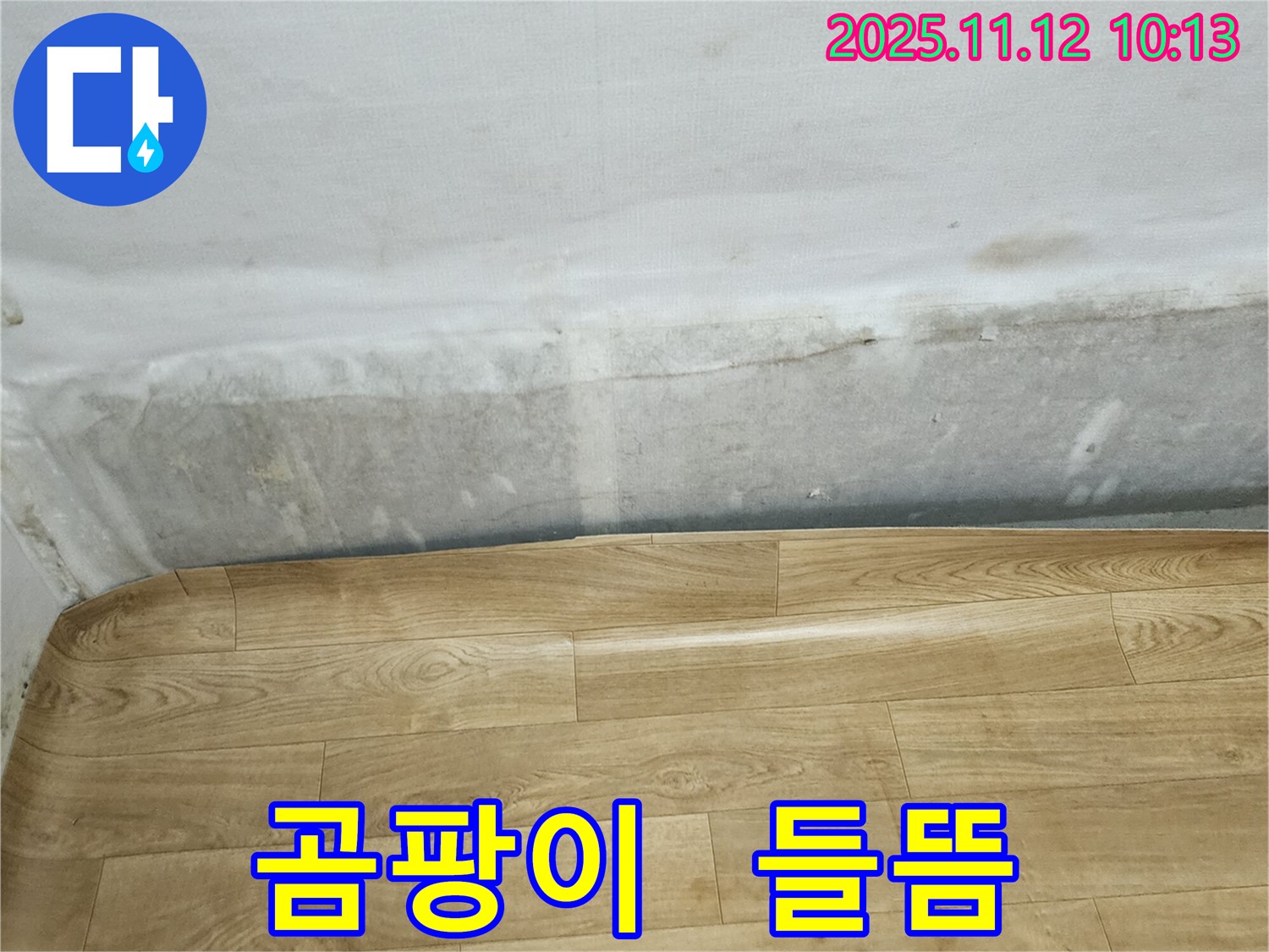 포천 소흘읍 무봉리 누수 현장 - 곰팡이 핀 벽과 들뜬 장판, 누수 문제 해결의 시작을 알려드립니다