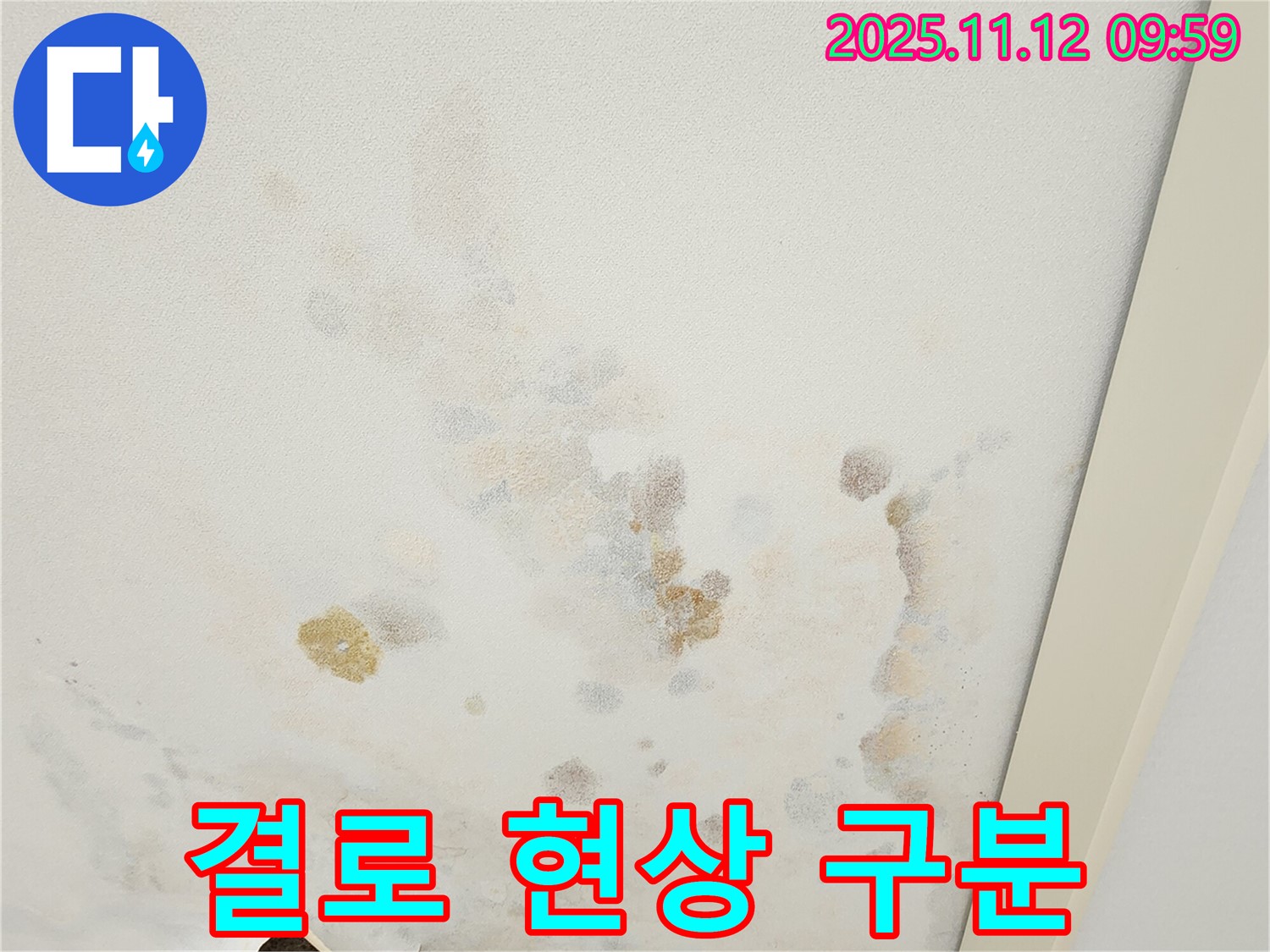 포천 소흘읍 무봉리 누수 현장 - 누수와 결로 현상 구분 작업