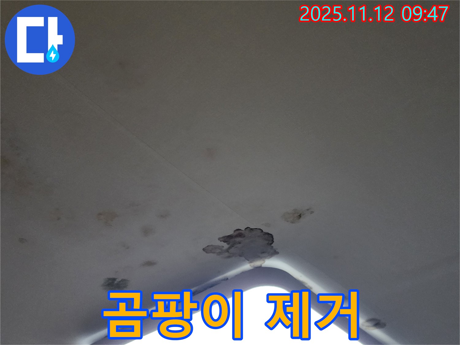 포천 소흘읍 - 천장 조명 주변 곰팡이 - 건강 위협 - 빠른 제거