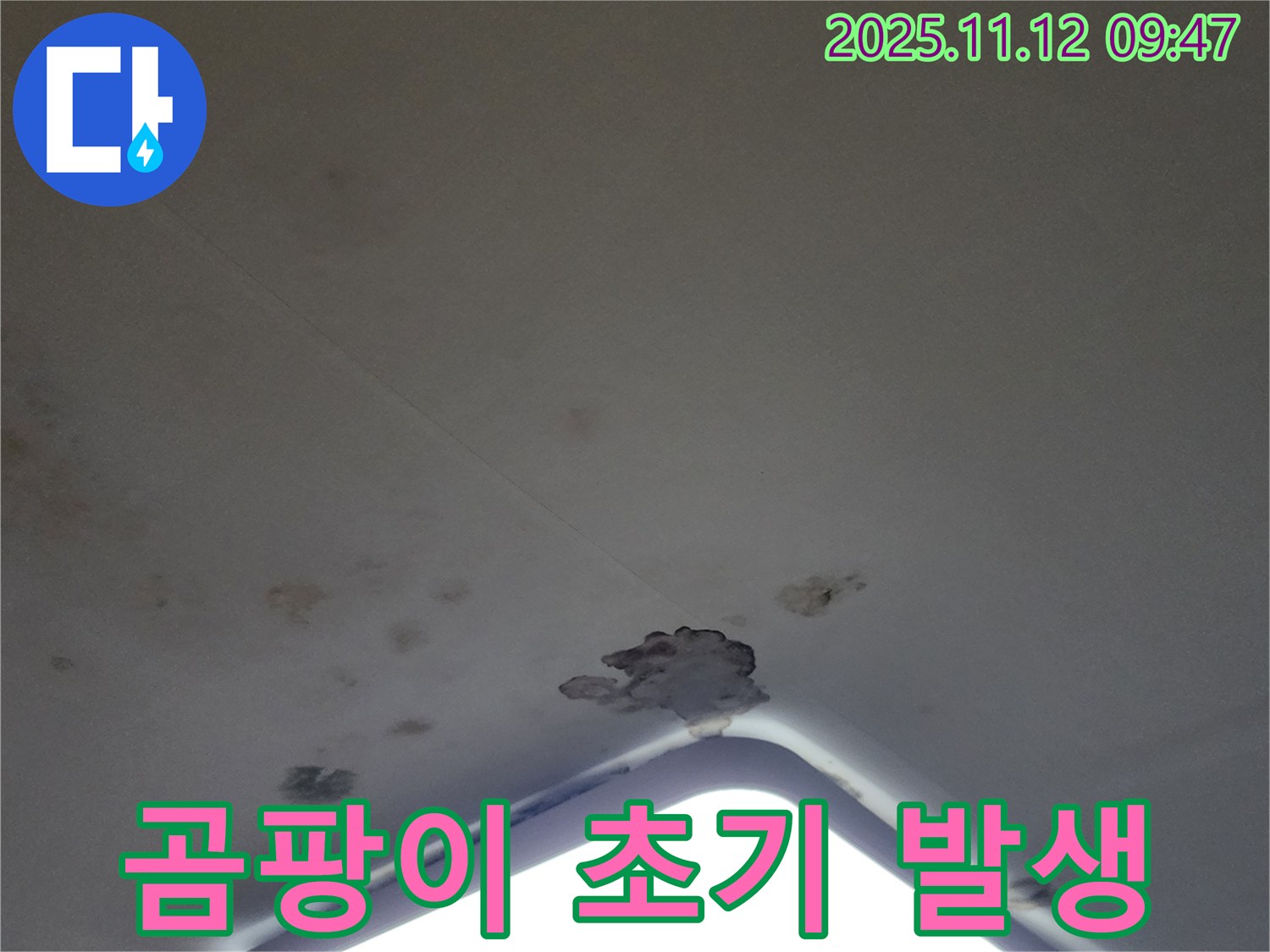 포천 소흘읍 - 천장 조명 주변 곰팡이 초기 발생