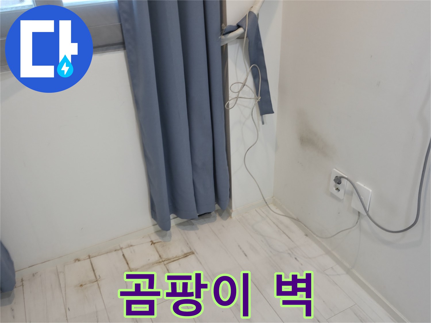 관악구 누수 - 곰팡이 핀 벽 문제 - 누수 해결 위한 전문 기술