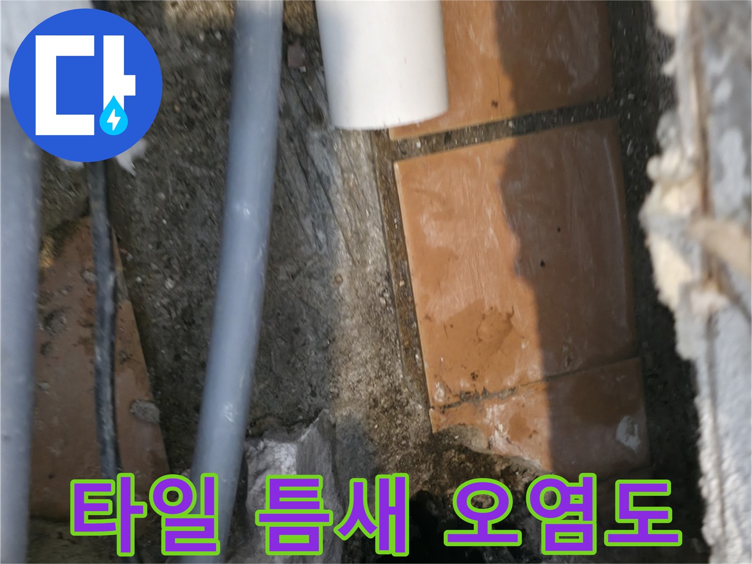 관악구 신림동 누수 - 타일 틈새 오염도 꼼꼼하게 확인