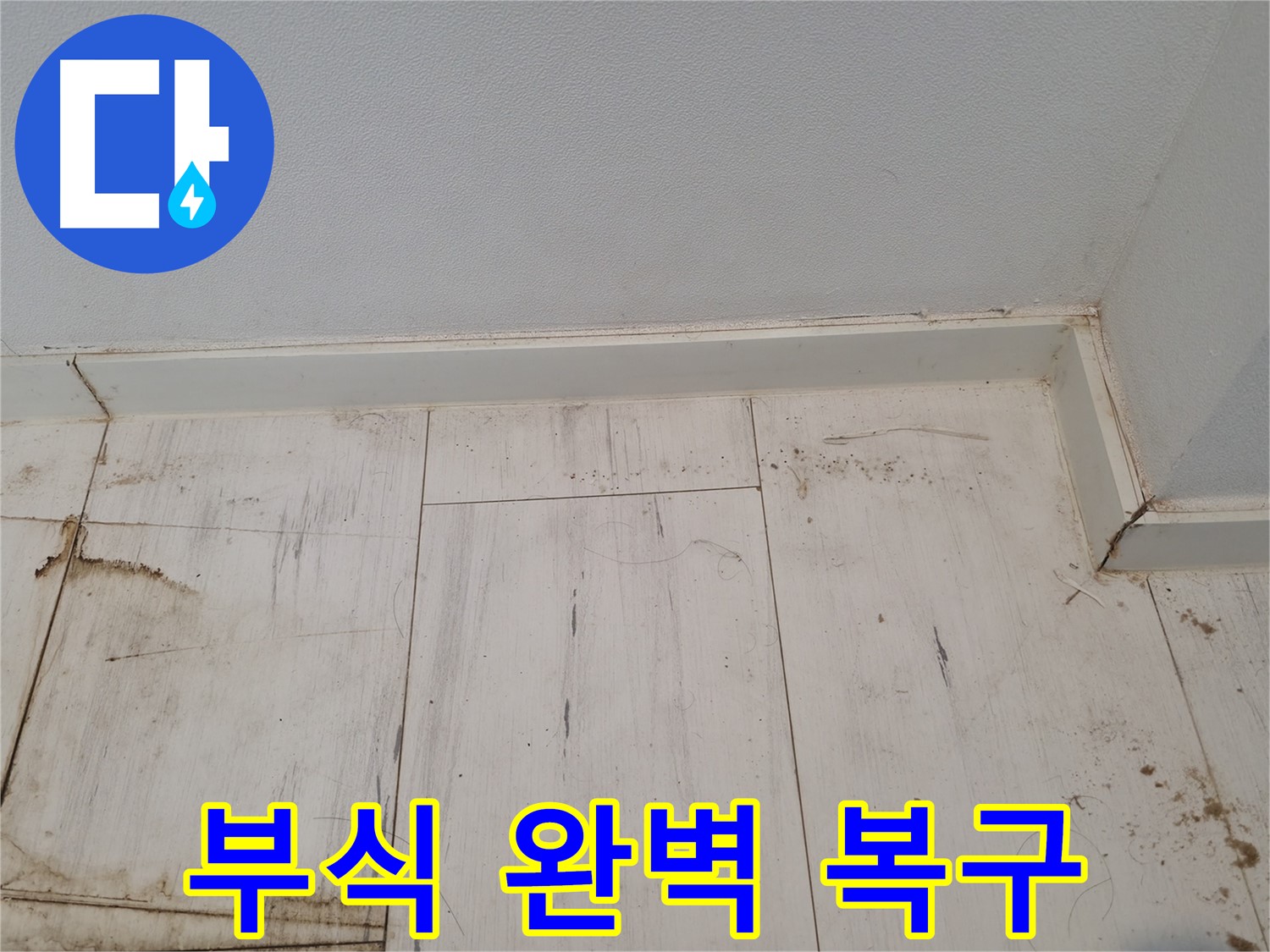 신림 누수 - 마루 부식 완벽 복구 완료 - 튼튼한 마루
