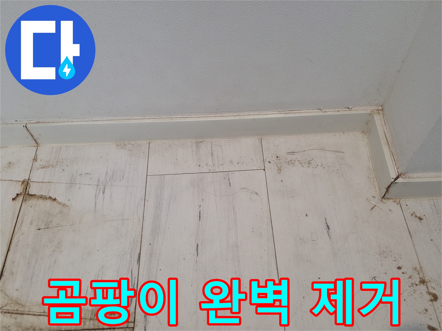 신림동 누수 - 마루 곰팡이 완벽 제거 - 깨끗한 환경