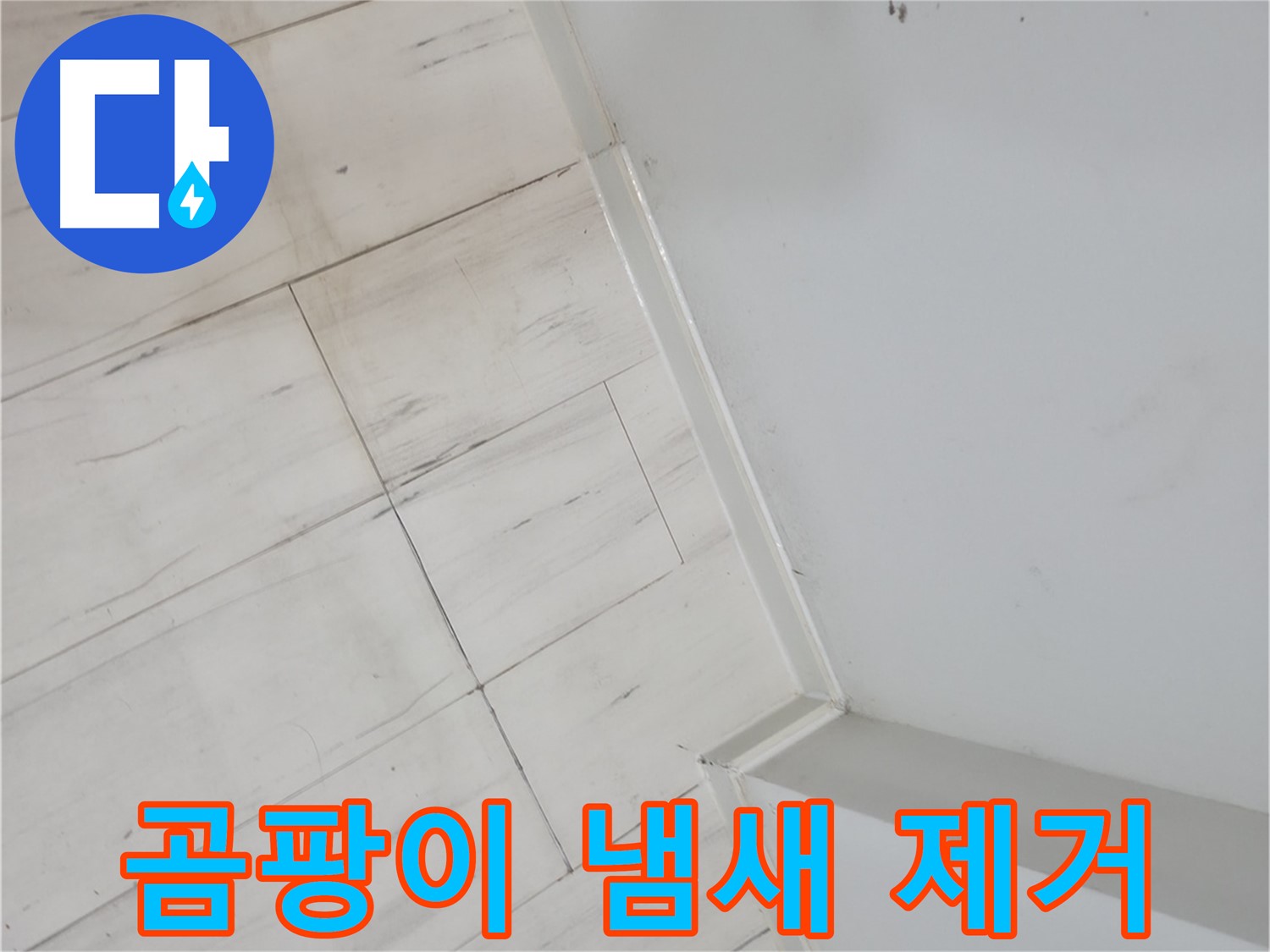 신림동 벽 모서리 곰팡이 냄새 누수 해결