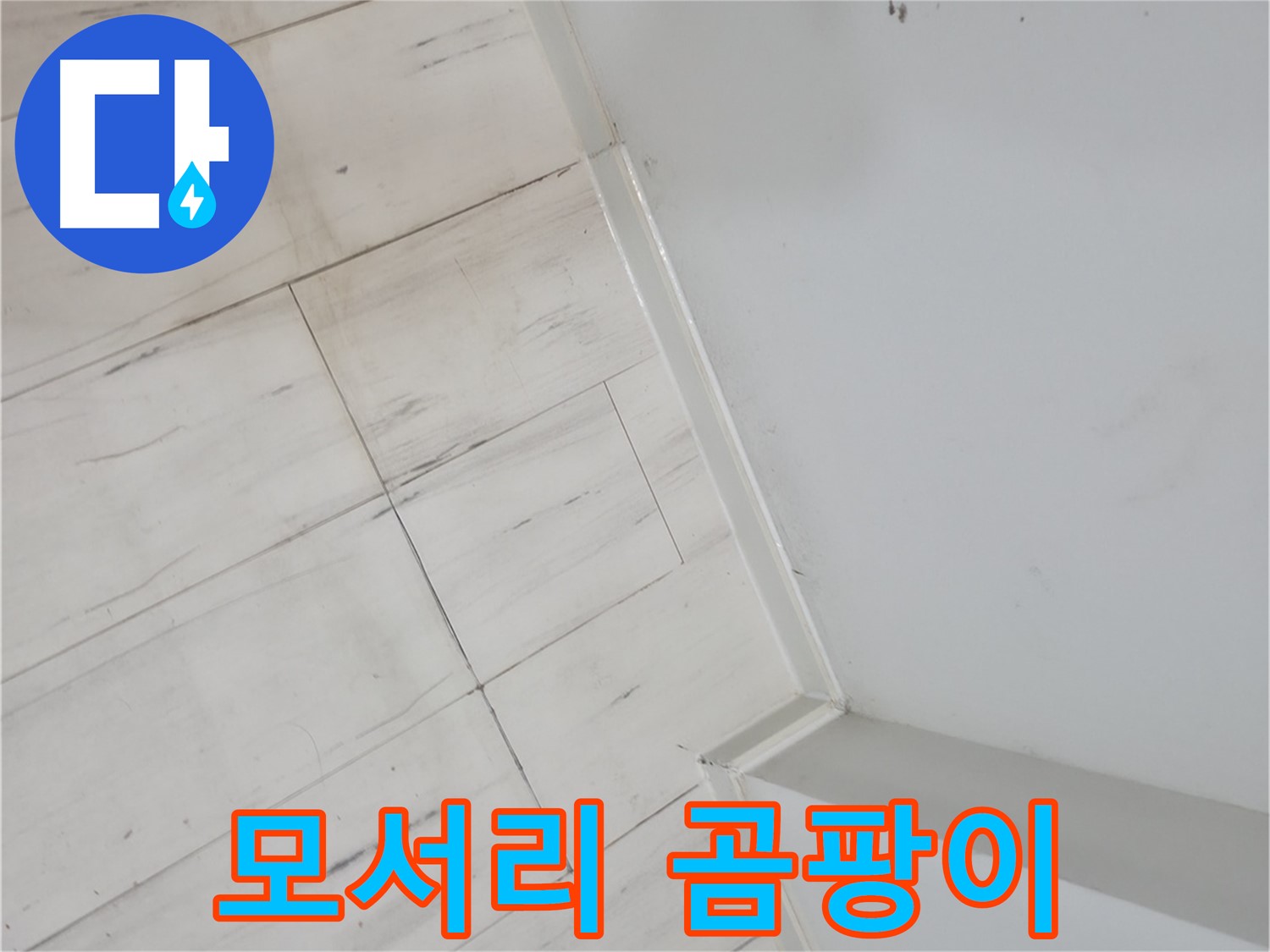 신림동 벽 모서리 곰팡이 - 누수 신호