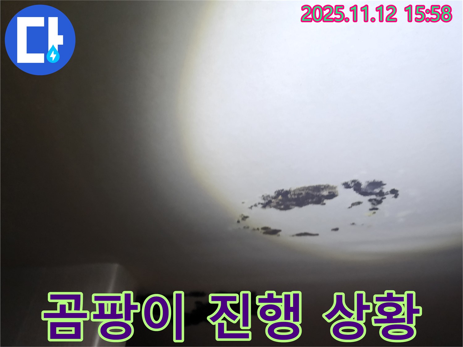 군내면 곰팡이 - 천장이 곰팡이로 얼룩진 모습입니다. 누수와 곰팡이 문제를 동시에 해결해야 합니다.