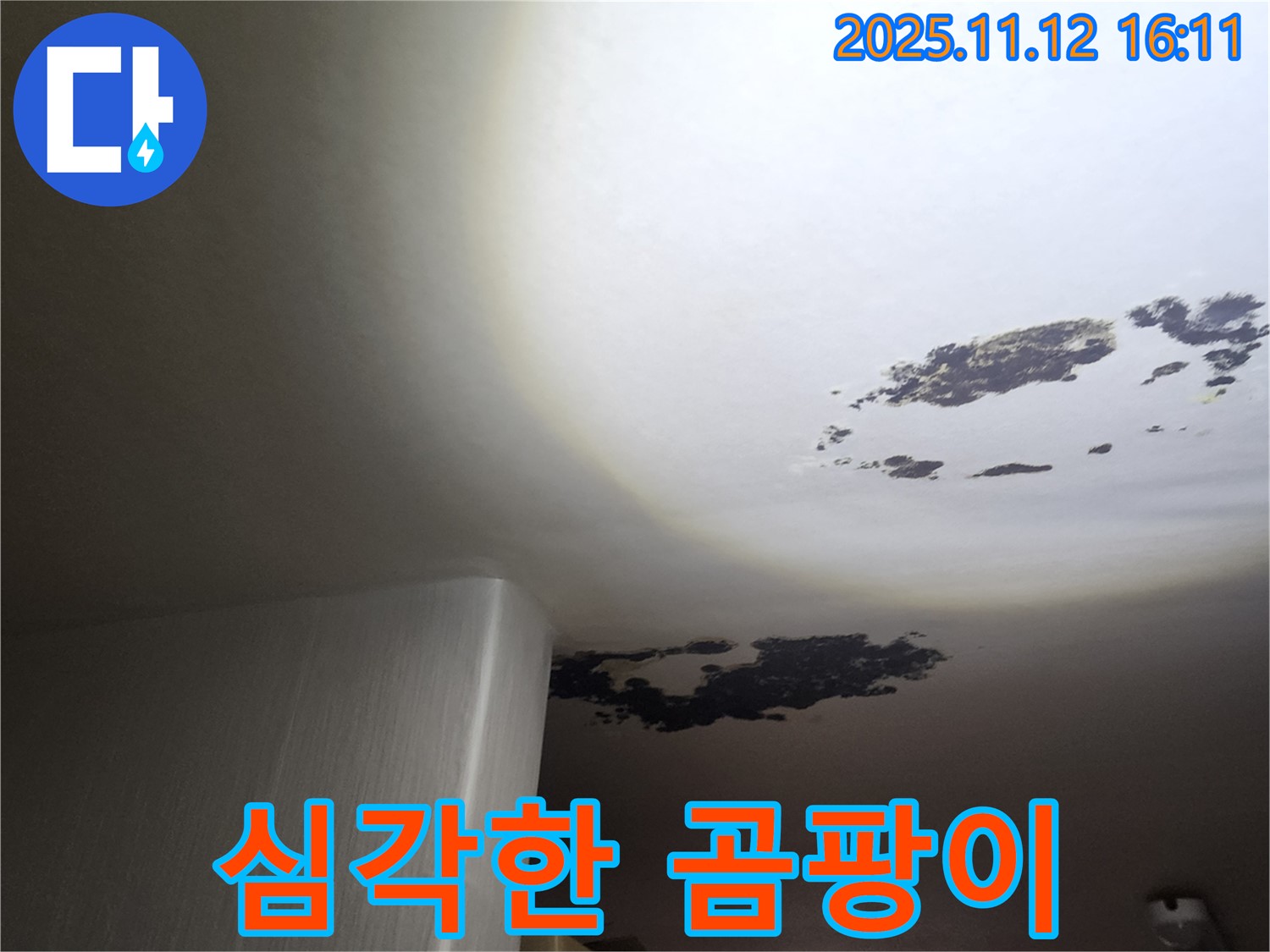 군내면 누수 - 천장 전체를 뒤덮은 심각한 곰팡이 오염
