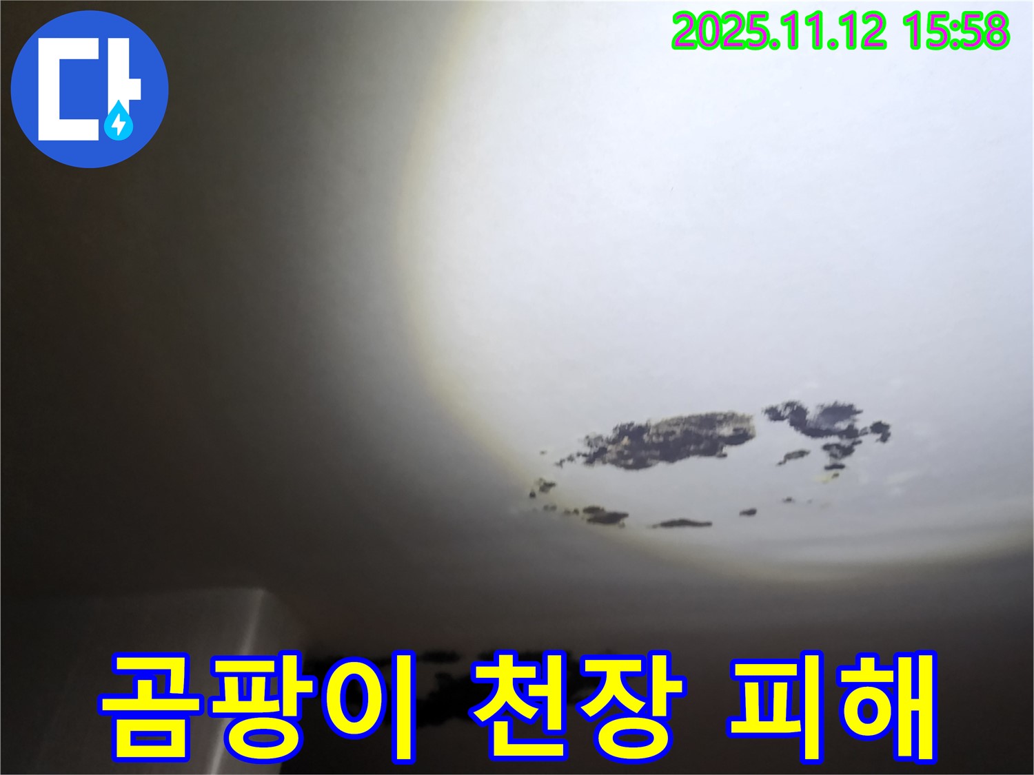 포천 구읍리 곰팡이 - 곰팡이로 인해 변색된 천장 사진입니다. 누수와 곰팡이 문제를 동시에 해결해야 합니다.