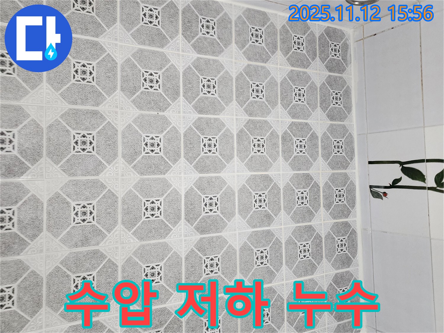 포천 군내면 구읍리 욕실 - 샤워기 수압 저하와 누수를 동시에 해결 - 원스톱 서비스를 제공했습니다.