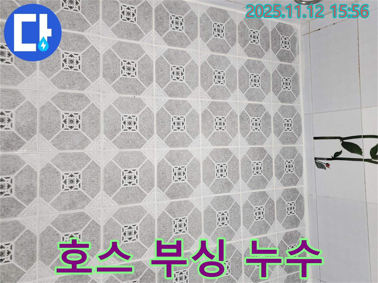 포천 군내면 구읍리 욕실 - 샤워기 호스 연결 부싱에서 물이 새는 누수 - 간단하게 부싱을 교체하여 해결했습니다.