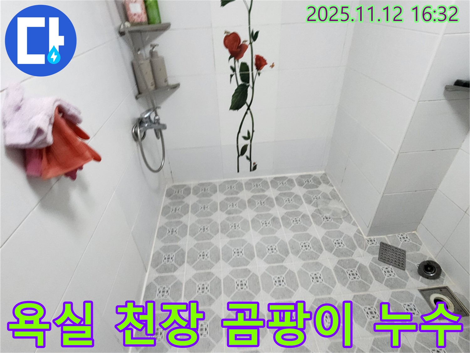 포천 군내면 구읍리 욕실 천장 누수 - 곰팡이가 심하게 핀 천장, 긴급하게 누수를 해결하는 과정을 보여줍니다.
