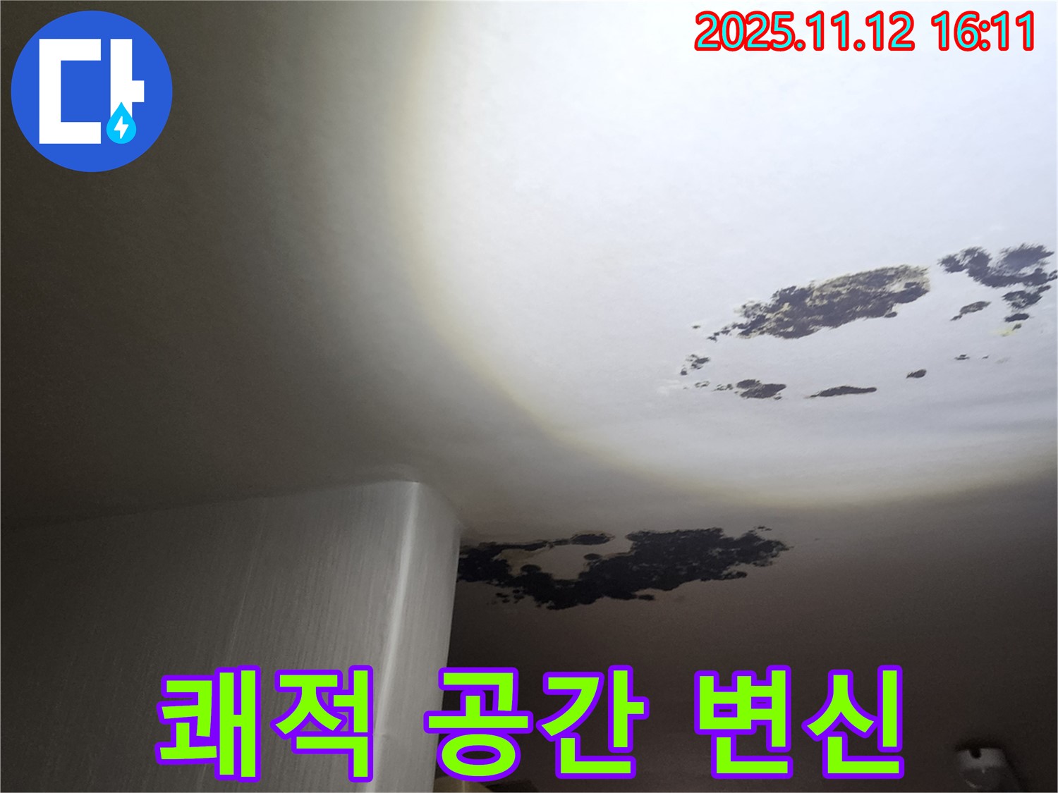 포천 누수 - 곰팡이 천장, 쾌적 공간으로 완벽 변신