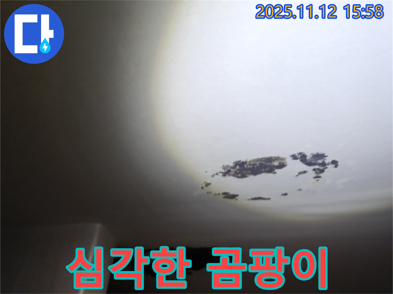 포천시 군내면 - 곰팡이가 심각하게 발생한 천장 누수 현장