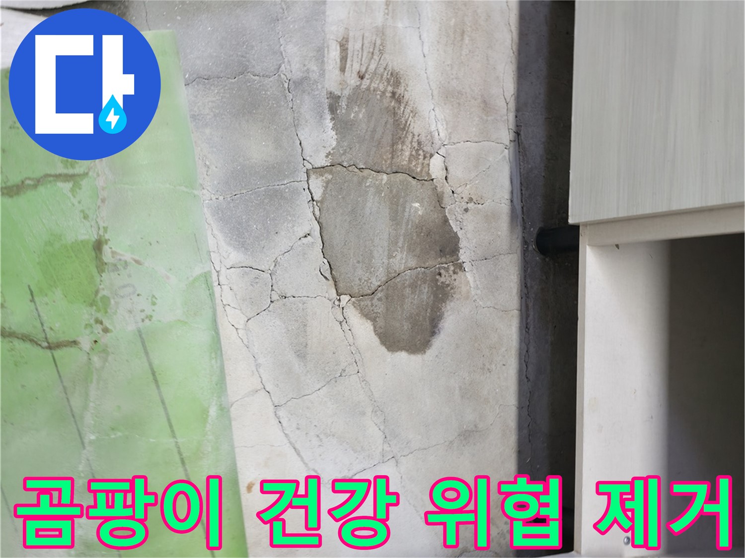 포천 신읍동 - 싱크대 주변 곰팡이, 건강 위협 요인 완벽 제거