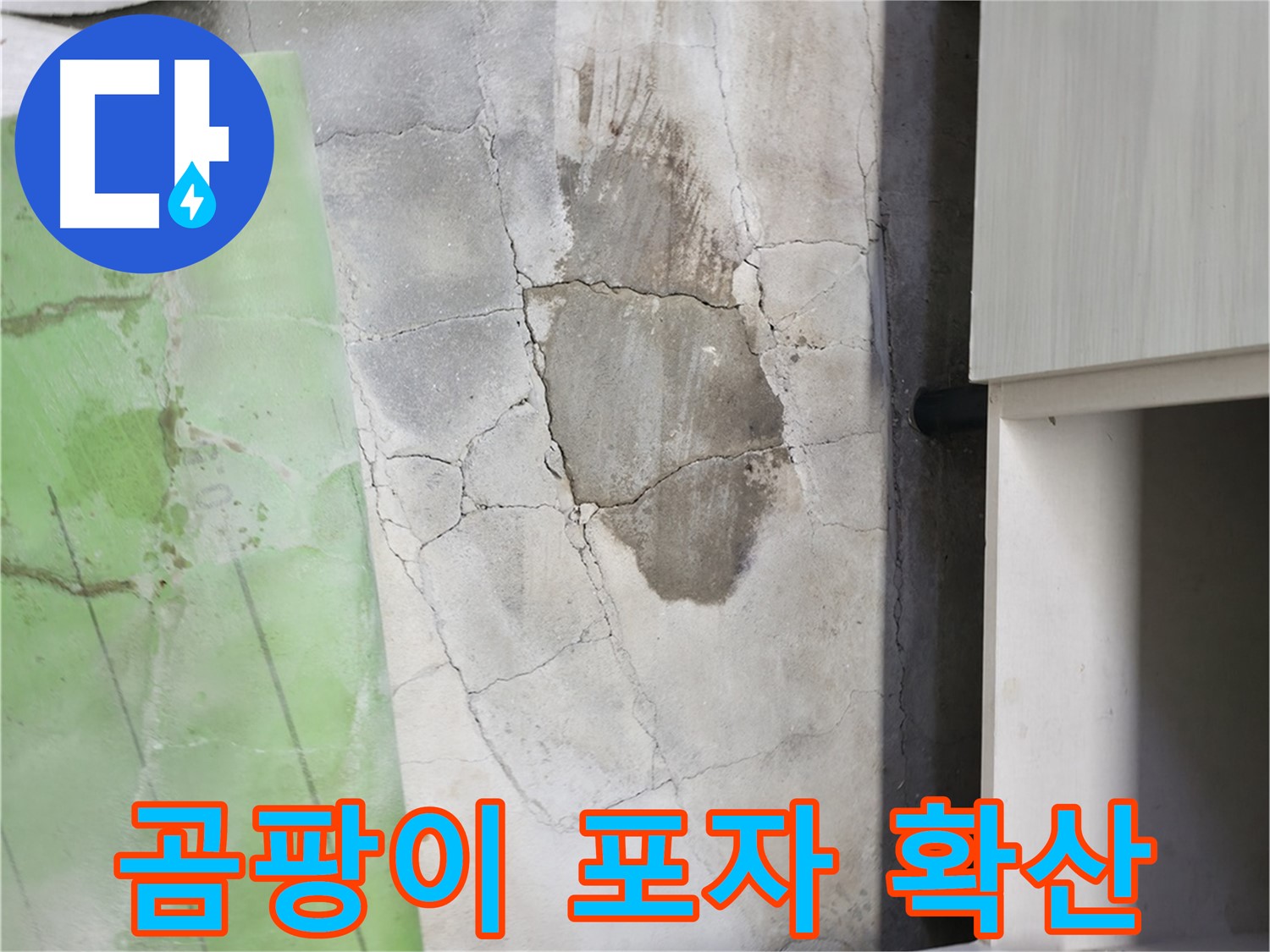 포천 신읍동 - 싱크대 하부 누수, 곰팡이 포자 확산으로 건강 위협
