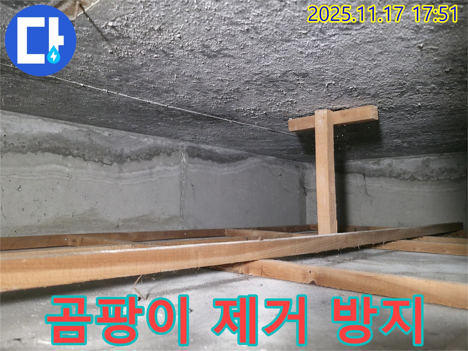 대림동 현대1차 아파트 누수 - 곰팡이 제거 및 방지 시공으로 건강까지 생각합니다