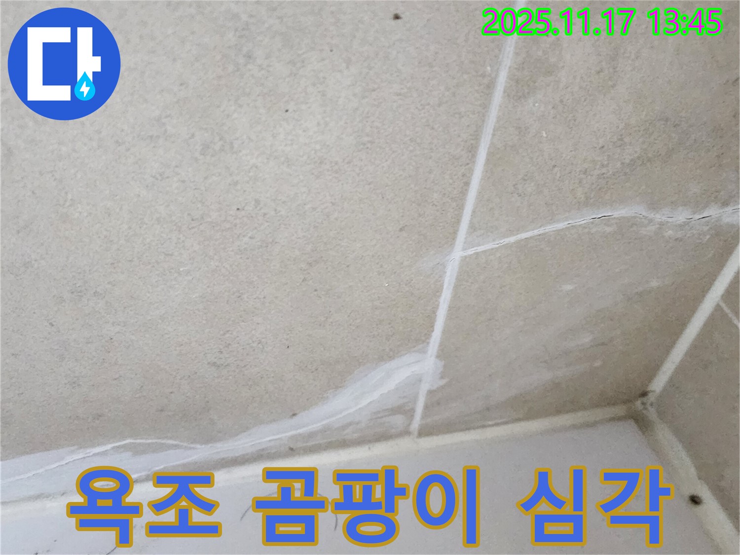 군내면 하성북리 욕조 실리콘 곰팡이 - 락스로도 안되면 전문가에게 맡기세요!