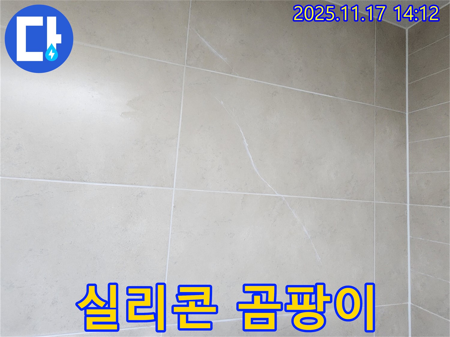 포천 군내면 하성북리 실리콘 곰팡이 - 뿌리처럼 박힌 곰팡이와 누수 가능성 진단