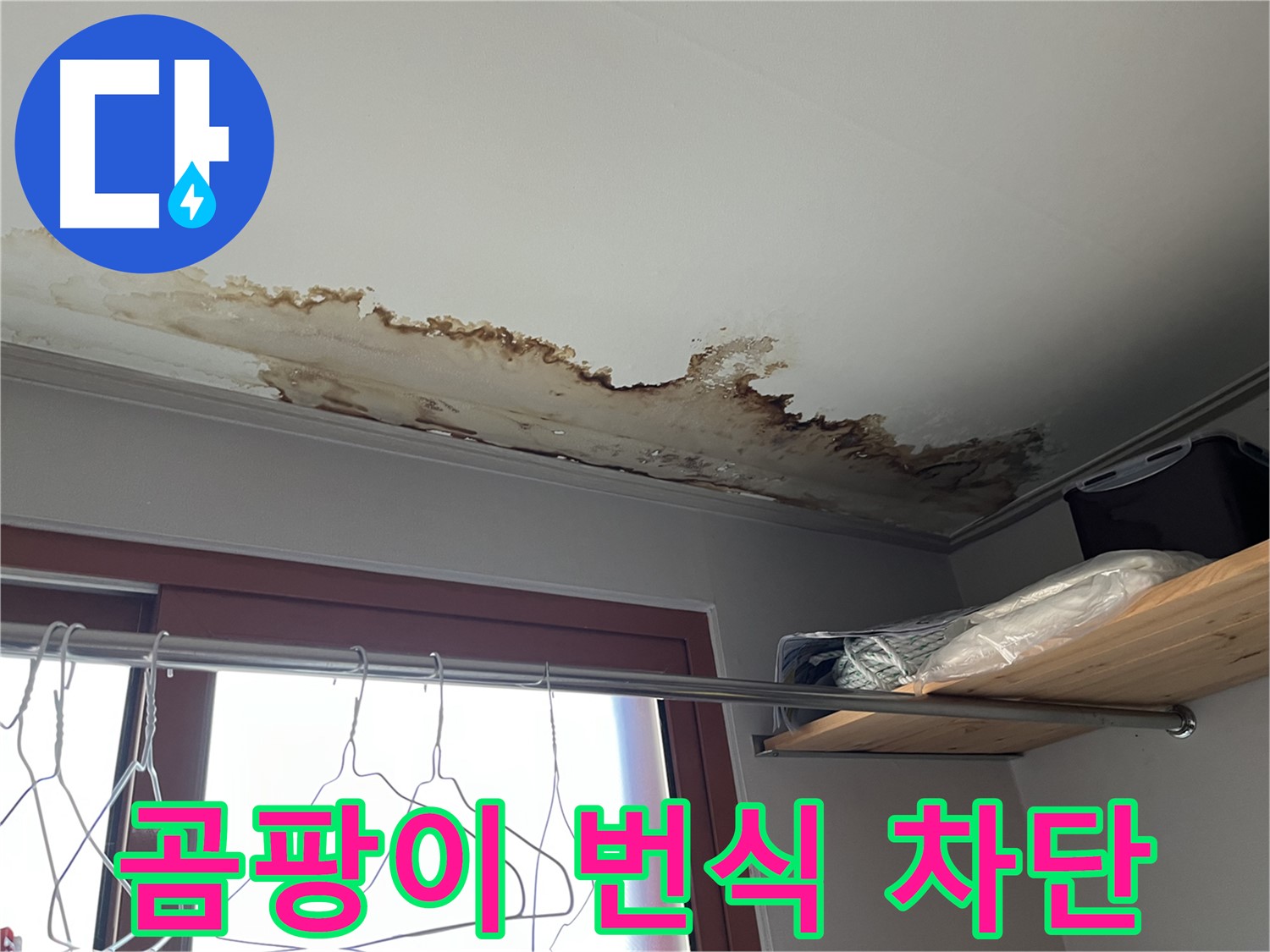 의정부 가능동 빌라 천장 누수 - 곰팡이 번식 차단을 위한 긴급 조치!