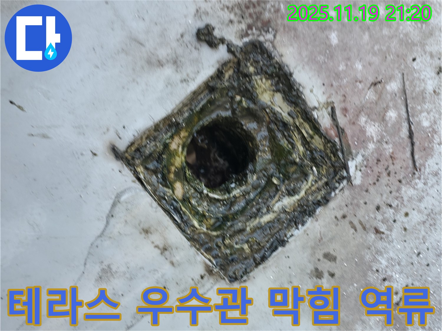 금천구 독산동 누수 - 테라스 우수관 막힘으로 인한 빗물 역류, 누수 발생