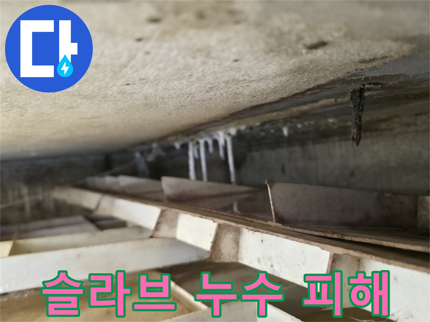 금천구 독산동 빌라 누수 - 슬라브 누수로 인해 석회수 고드름이 생겨 피해가 발생하고 있습니다.