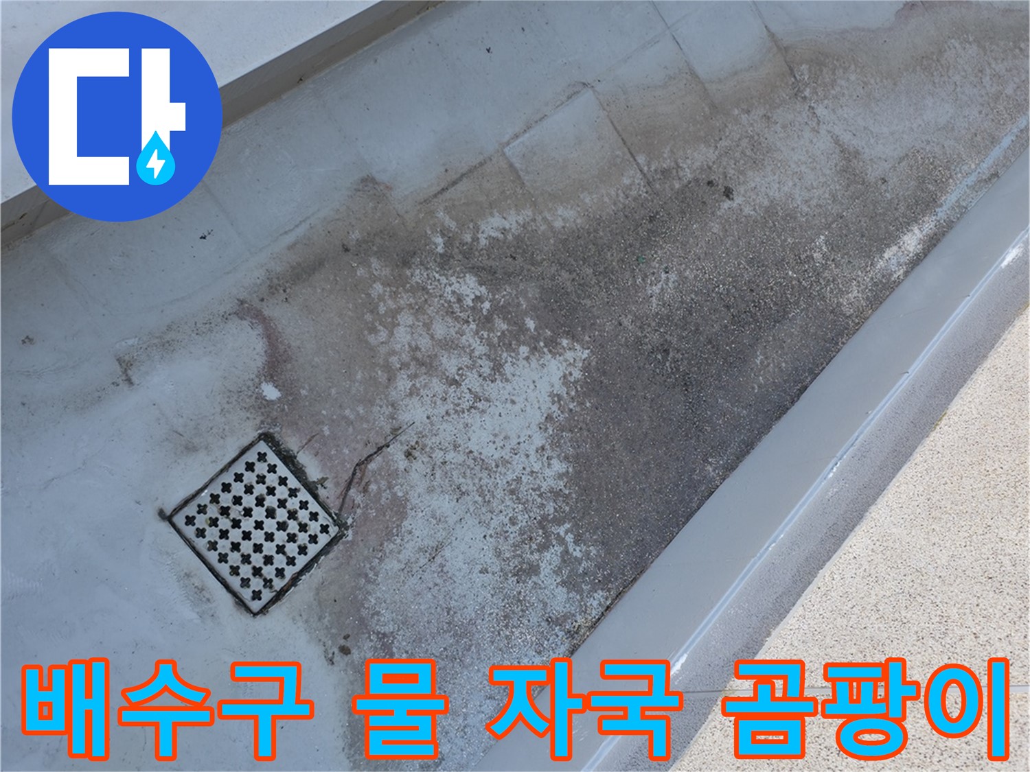 금천구 베란다 배수구 주변 물 자국 및 곰팡이 - 누수 문제를 해결하기 위한 중요한 단서입니다.
