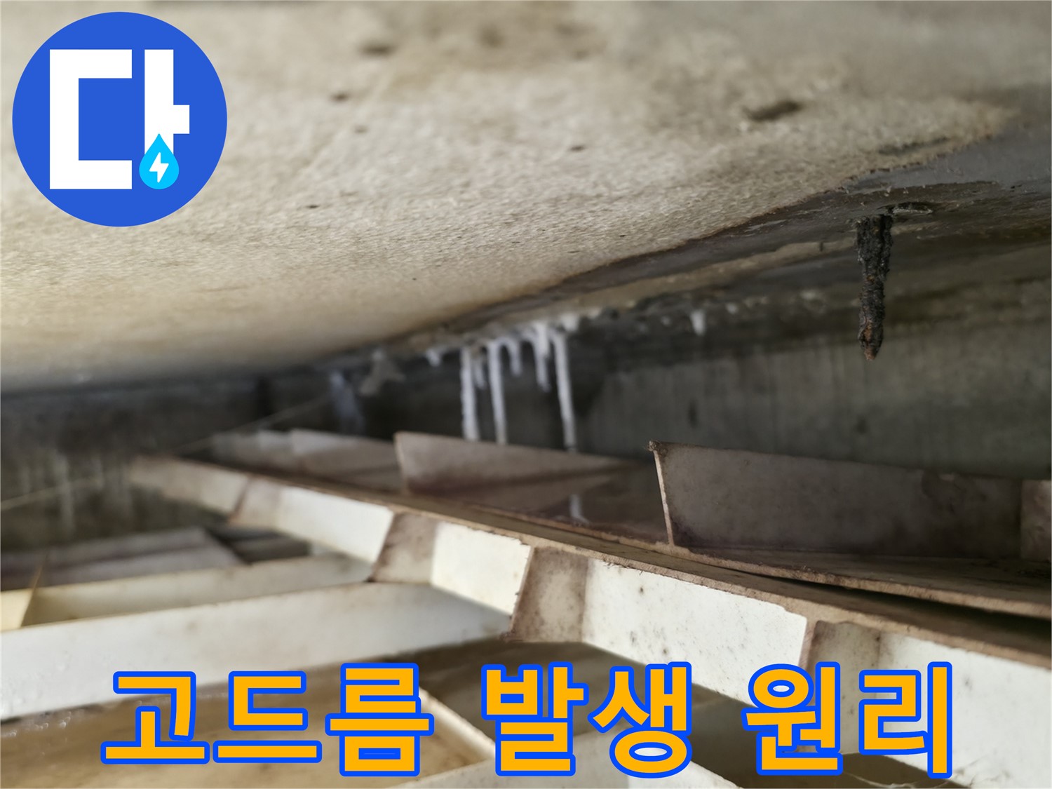 독산동 현진아트빌 슬라브 누수 - 석회수 고드름은 슬라브 누수로 인해 발생하는 자연스러운 현상입니다 - 원인 분석이 중요합니다.