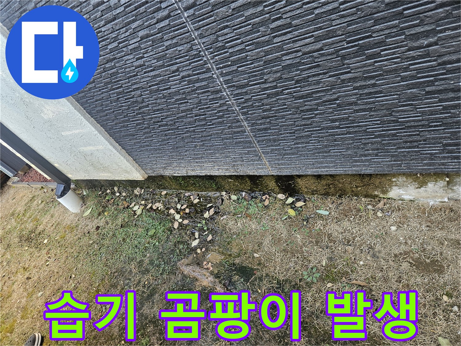 이천 아리 외벽 누수 - 습기로 인한 곰팡이 발생 초기 - 환기 및 점검 필요