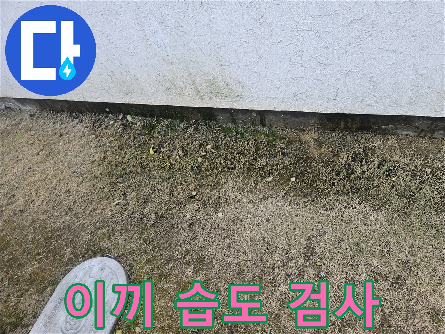 이천 아리역로 누수 - 이끼 발생 부위 습도 및 누수 검사 진행