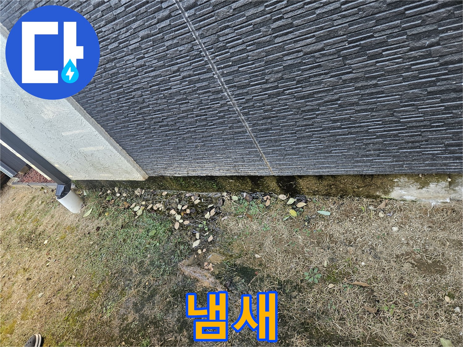 이천시 마장면 아리역로 주변 외벽 누수 위험 - 냄새 - 쾌적한 환경 조성