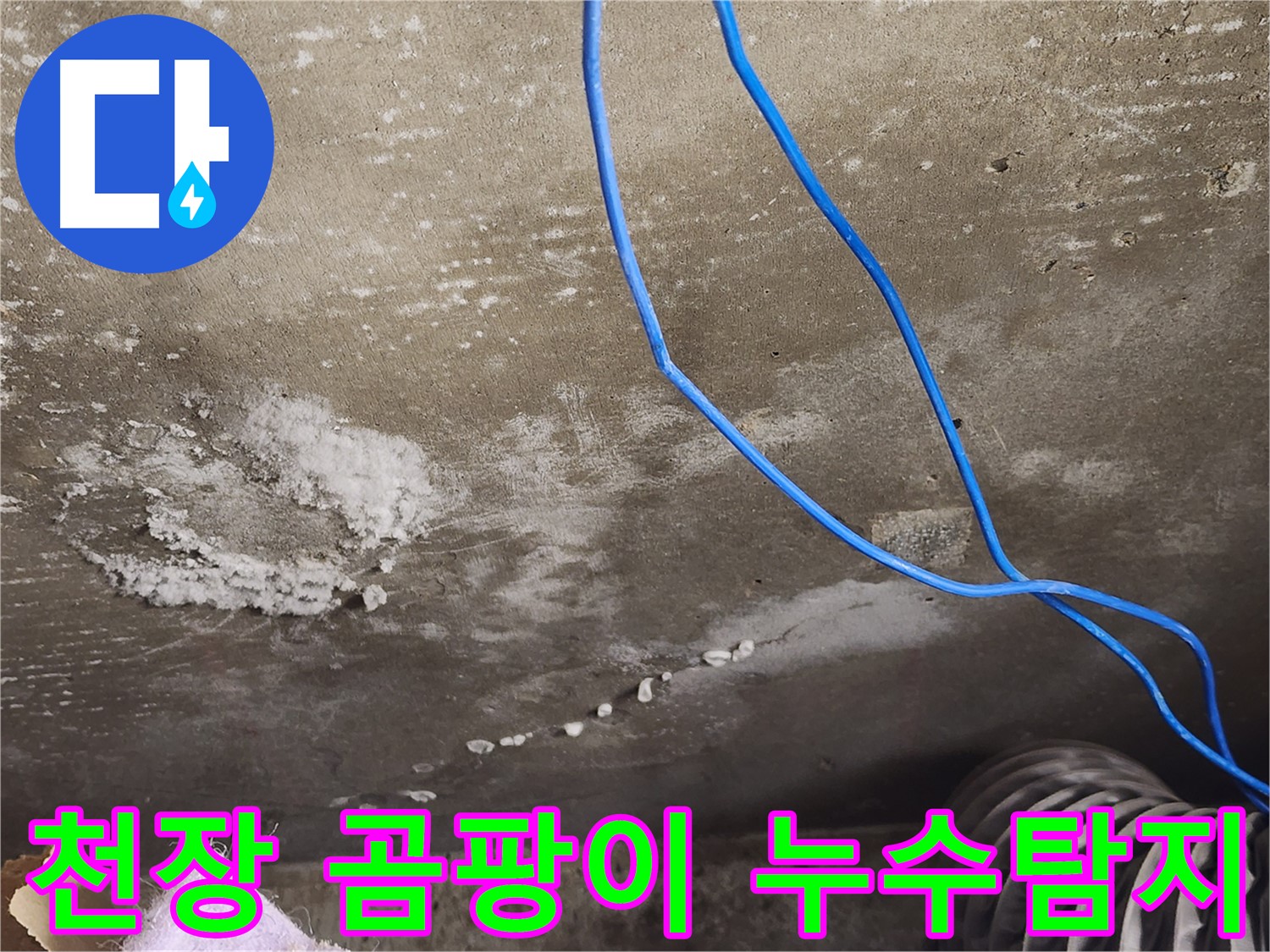 기흥구 보정동 콘크리트 천장 - 곰팡이 발생 - 결로와 누수 감별