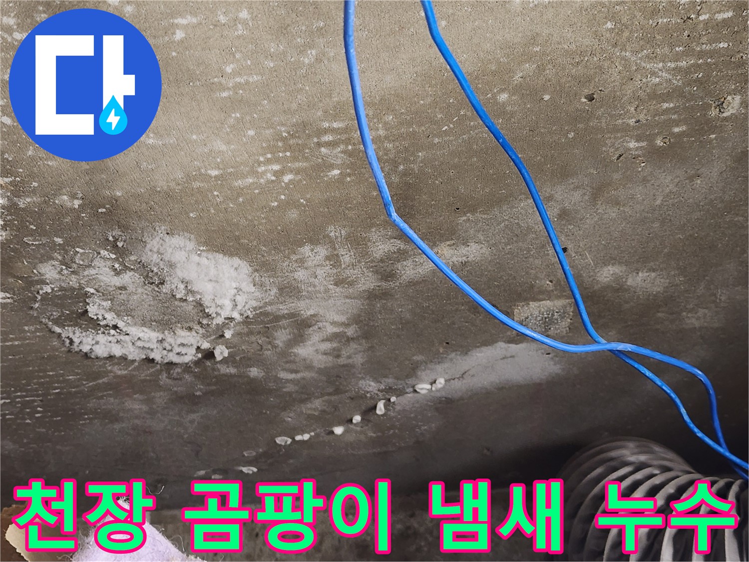 보정동 콘크리트 천장 - 곰팡이 냄새 - 누수 가능성 점검