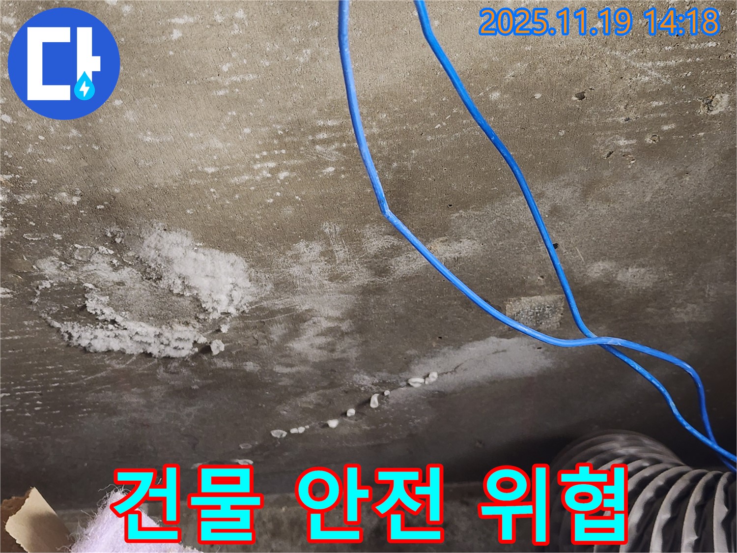 콘크리트 천장 누수로 인한 건물 안전 위협 사진 - 백화 현상으로 인해 손상된 콘크리트 천장 모습을 보여줍니다.