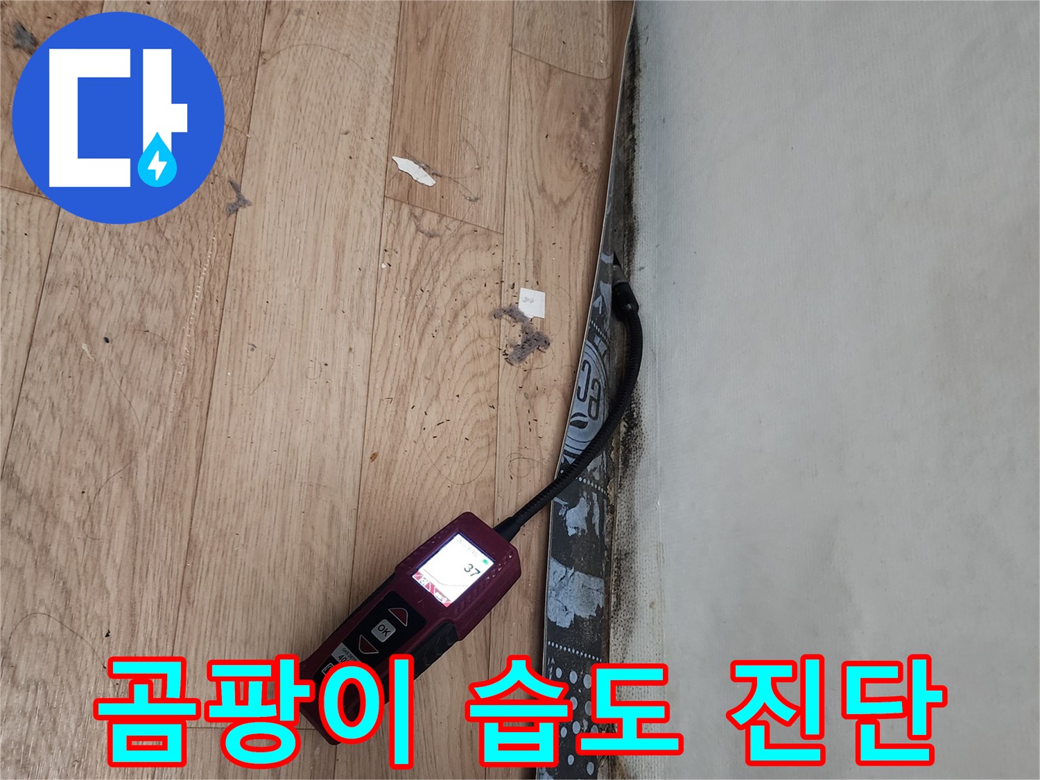 수원 장안구 누수 - 곰팡이 심한 곳, 습도 측정으로 누수 진단