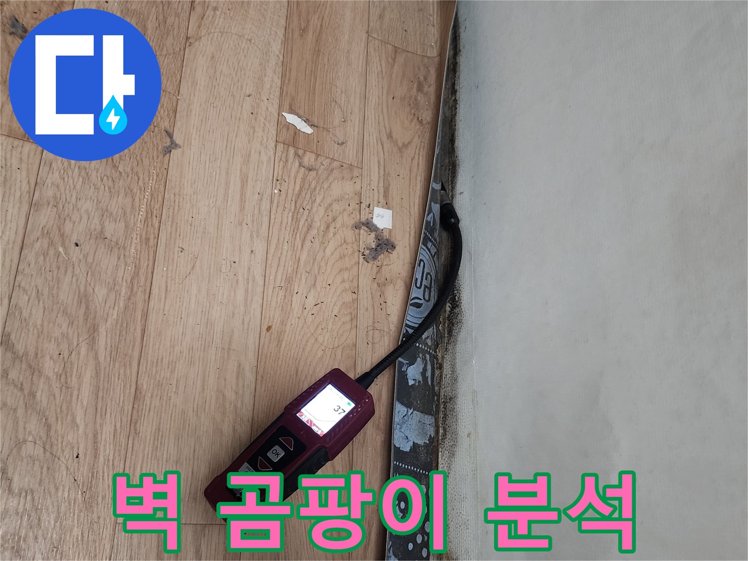 수원 정자동 누수탐지 - 벽 곰팡이, 누수, 습도 상관관계 분석