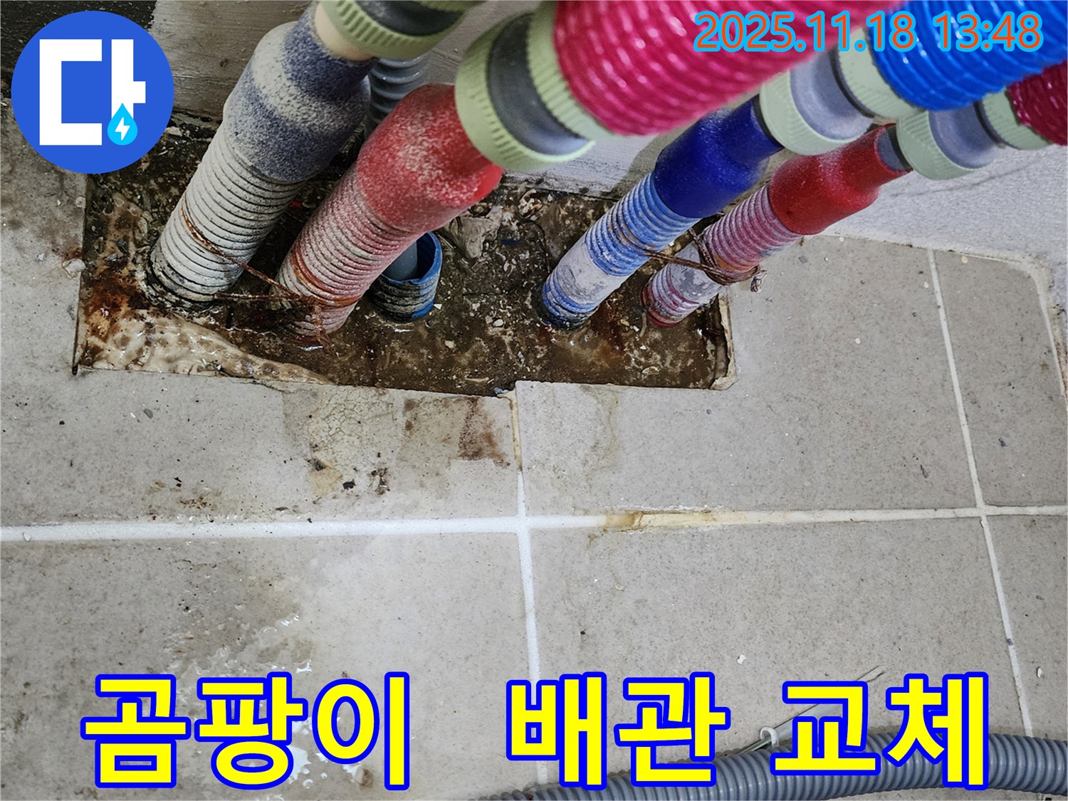 진목리 누수 - 곰팡이 핀 벽 뒤 숨겨진 배관, 교체 후 쾌적한 환경으로 변신!