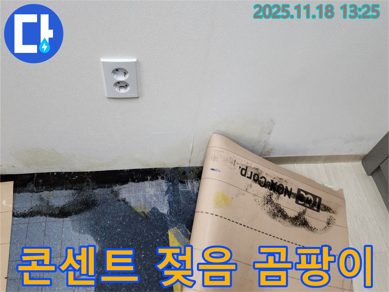 콘센트 주변 젖음과 곰팡이 - 감전 위험! 누수의 심각성을 보여주는 증거입니다.