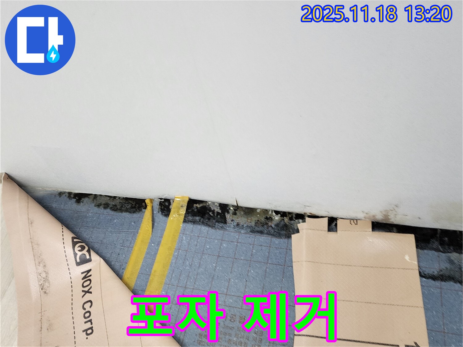 포천 내촌 누수 - 장판 밑 곰팡이와 습기, 곰팡이 포자까지 완벽 제거!