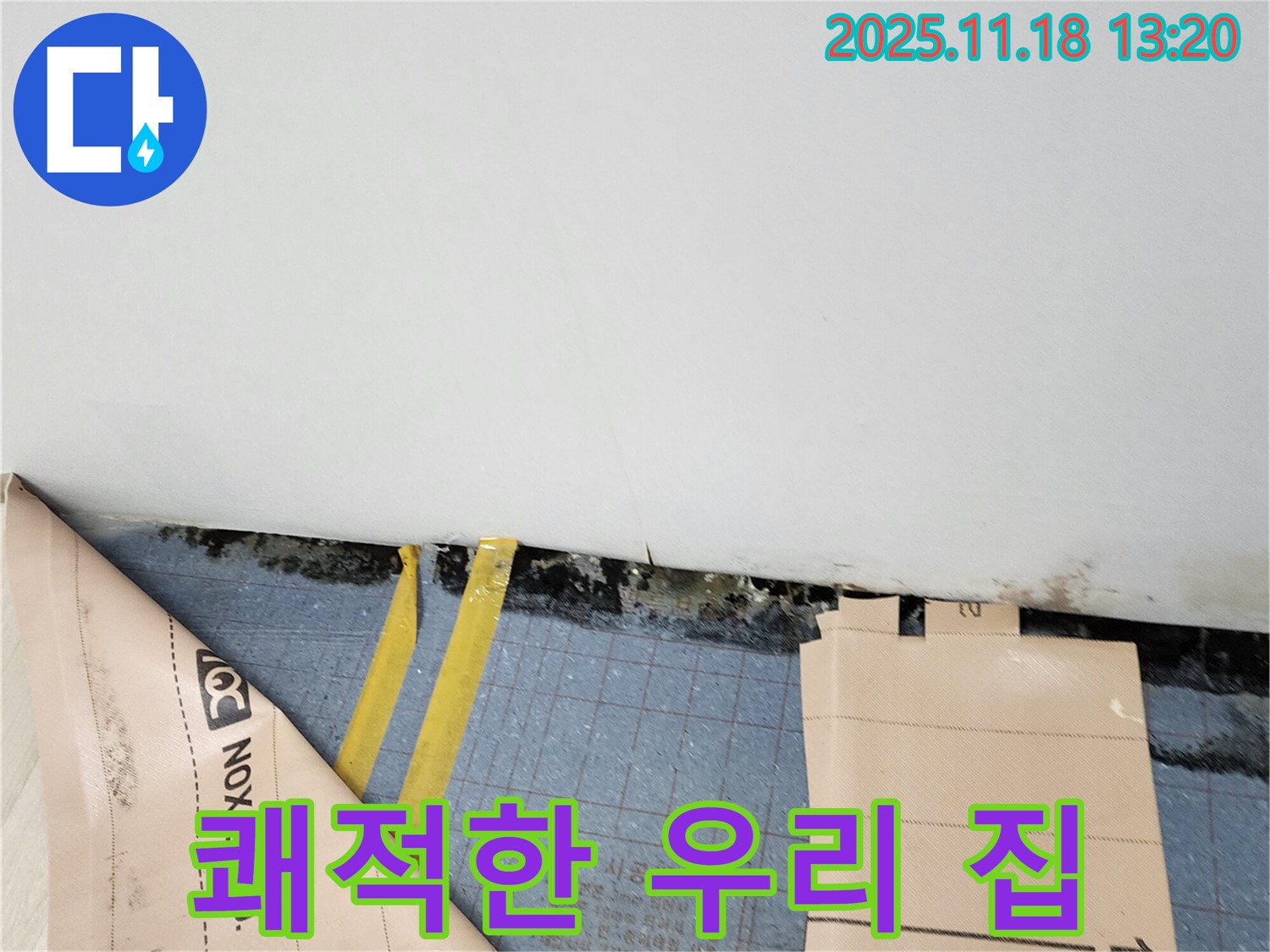 포천 누수 - 장판 밑 곰팡이와 습기 OUT! 쾌적한 우리 집으로!