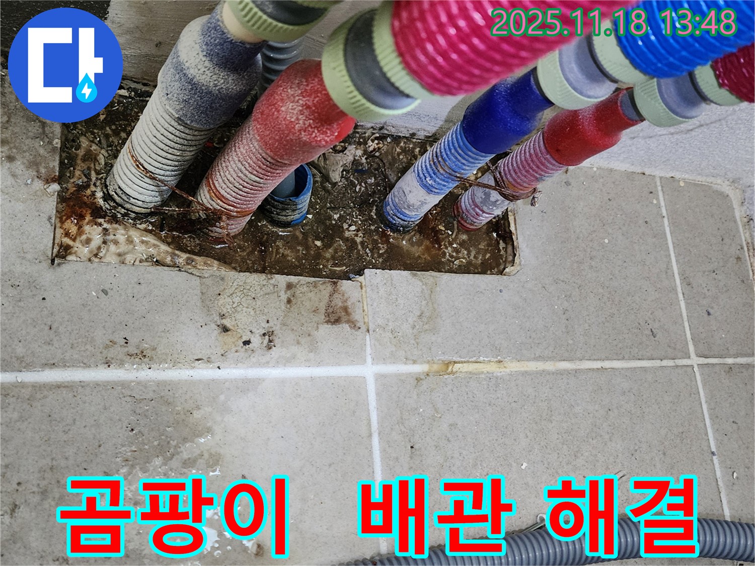포천시 내촌면 진목리 누수 - 곰팡이와 함께 사라진 배관 문제, 쾌적한 환경으로!