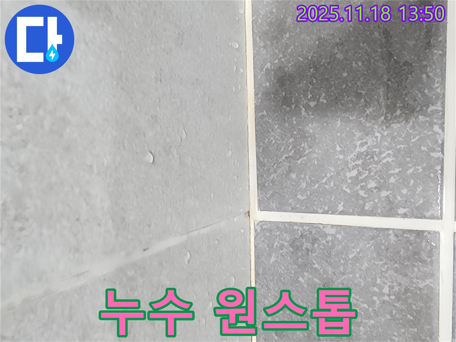 포천시 내촌면 진목리 누수 - 젖은 타일 문제, 누수 탐지부터 해결까지 원스톱으로 제공하는 이미지