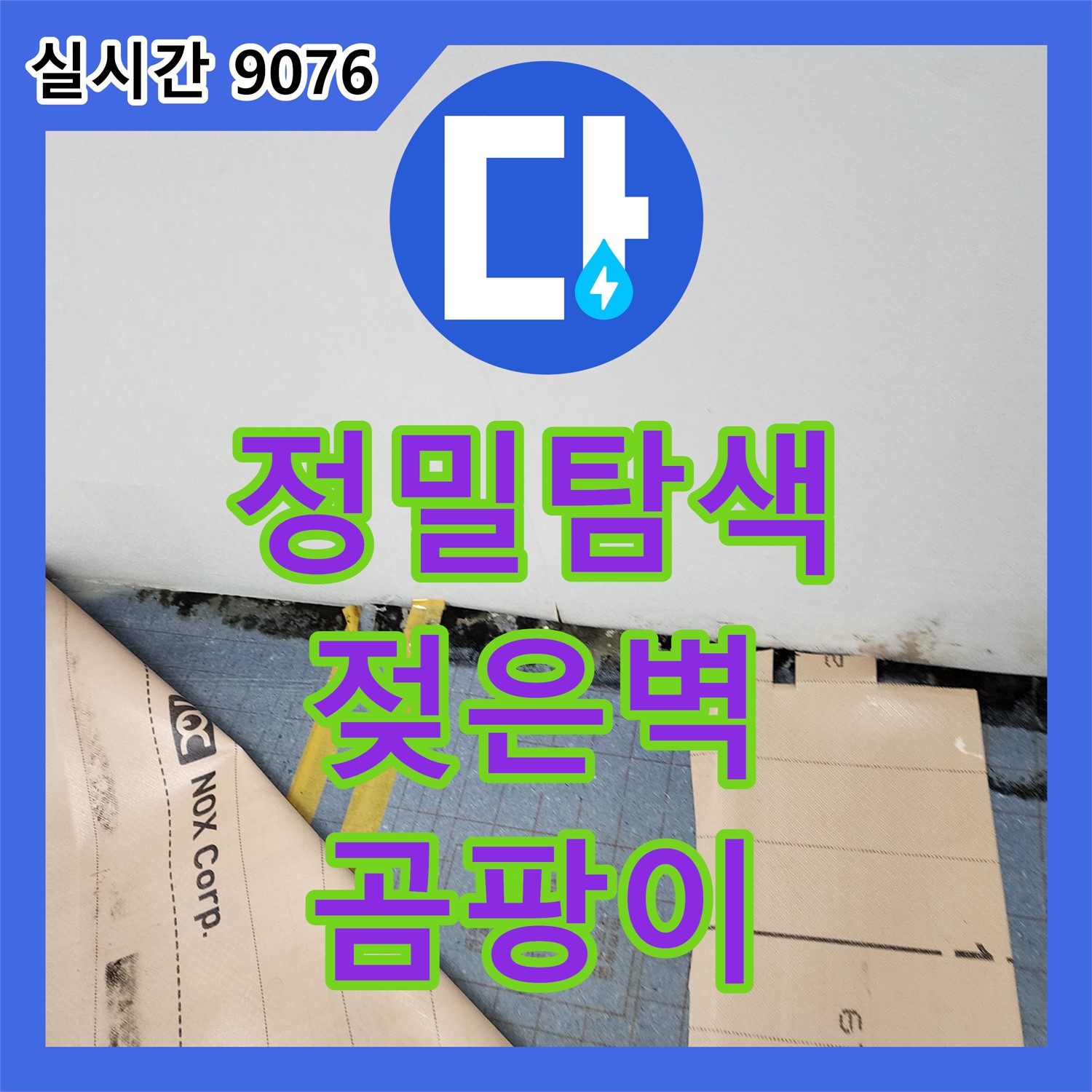 포천시 누수탐지, 젖은 벽과 곰팡이 문제 해결을 위한 정밀 탐색