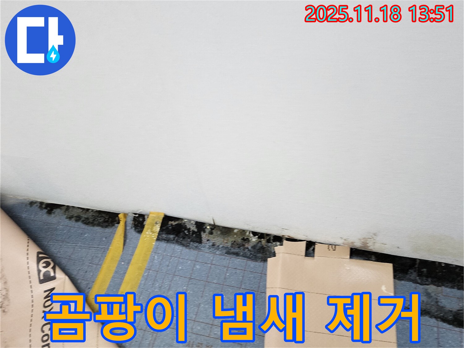 포천시 진목리 누수 현장 - 곰팡이 냄새를 제거하고 상쾌한 공기를 마실 수 있도록 도와드립니다.