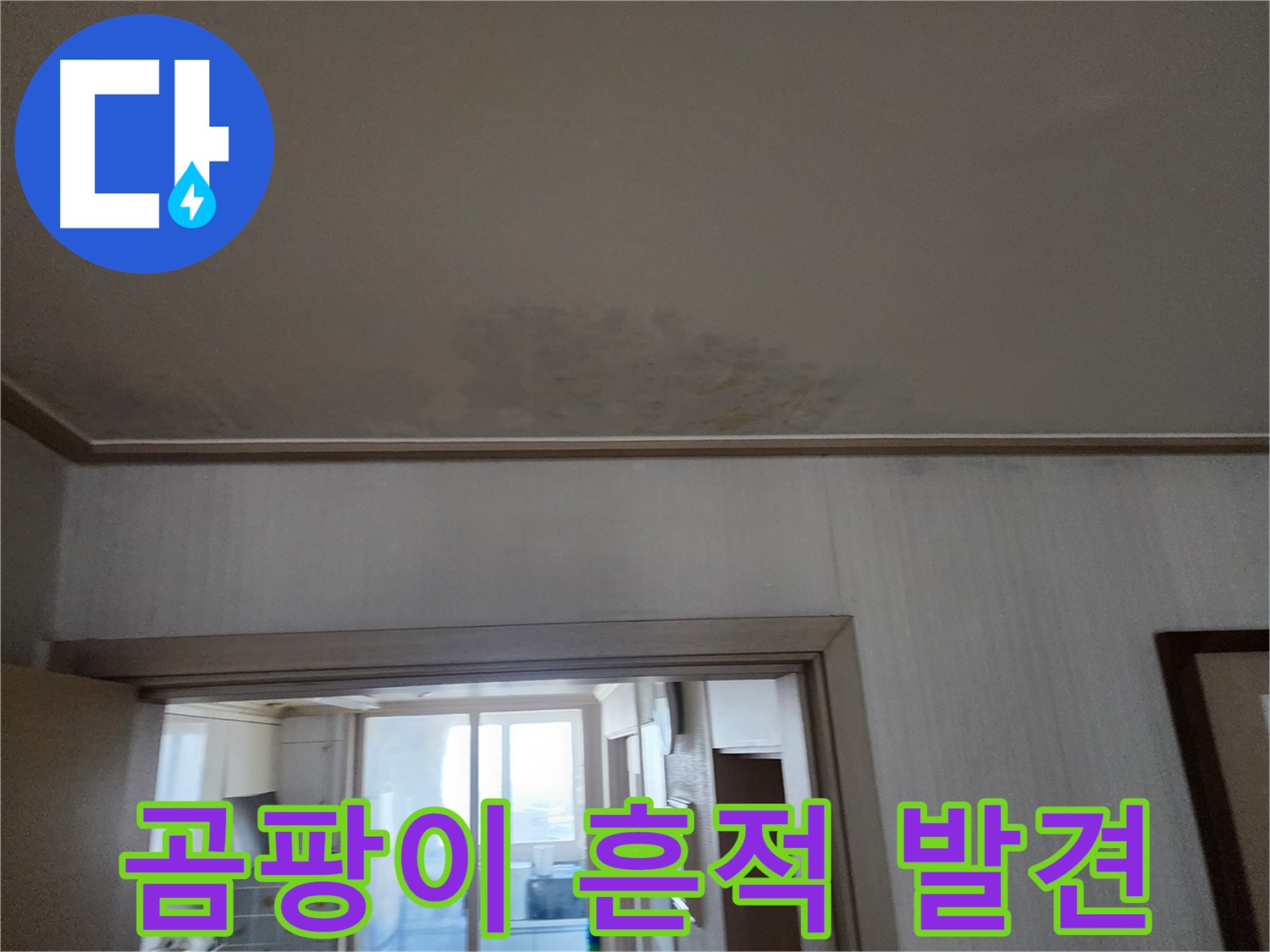 광명 철산동 두산위브 아파트 천장 누수 및 곰팡이 흔적 - 누수 전문가가 누수와 곰팡이 흔적을 발견하고 있습니다.