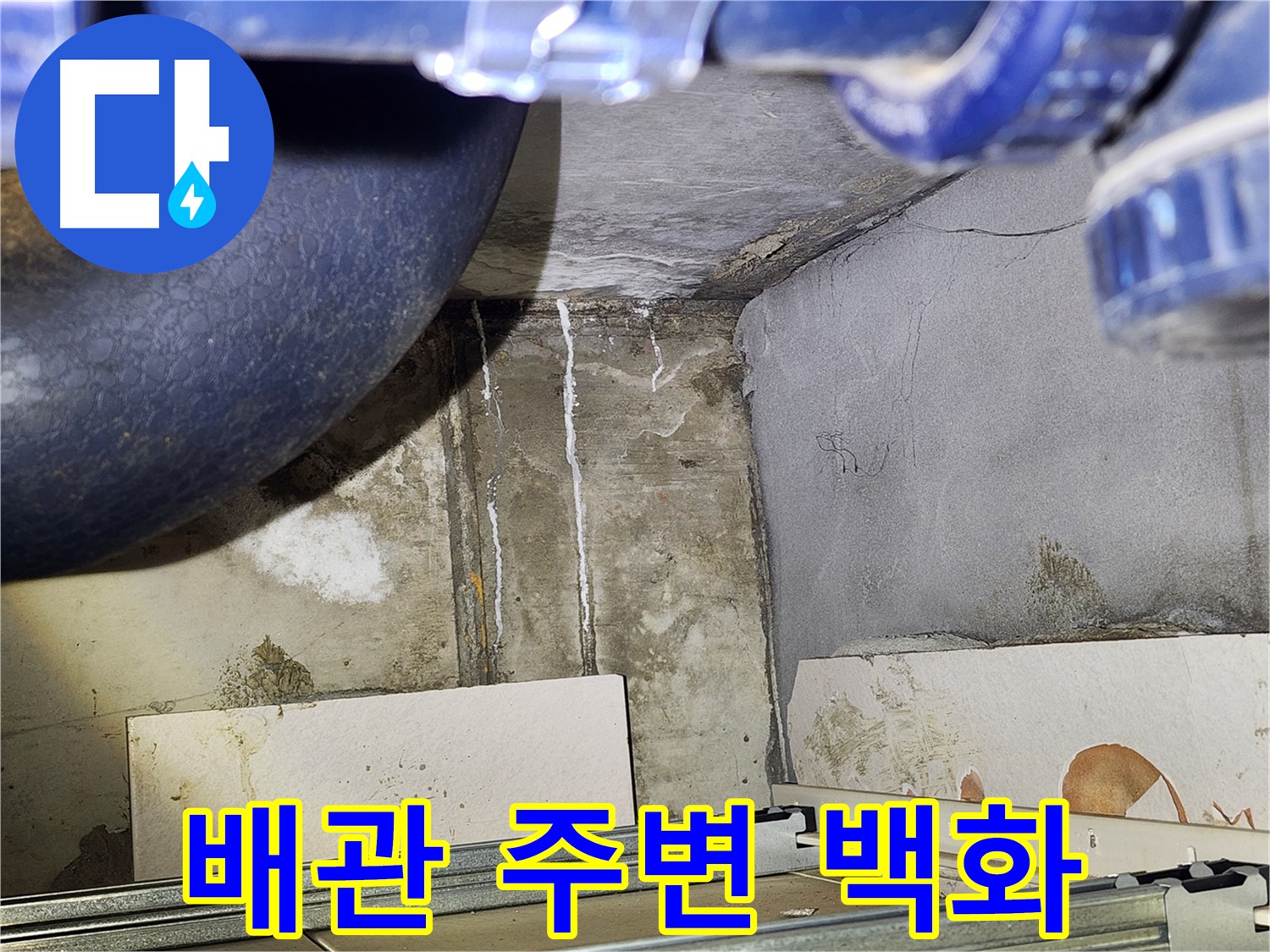 광명시 철산동 욕실 배관 주변 백화 현상 - 누수 가능성 진단