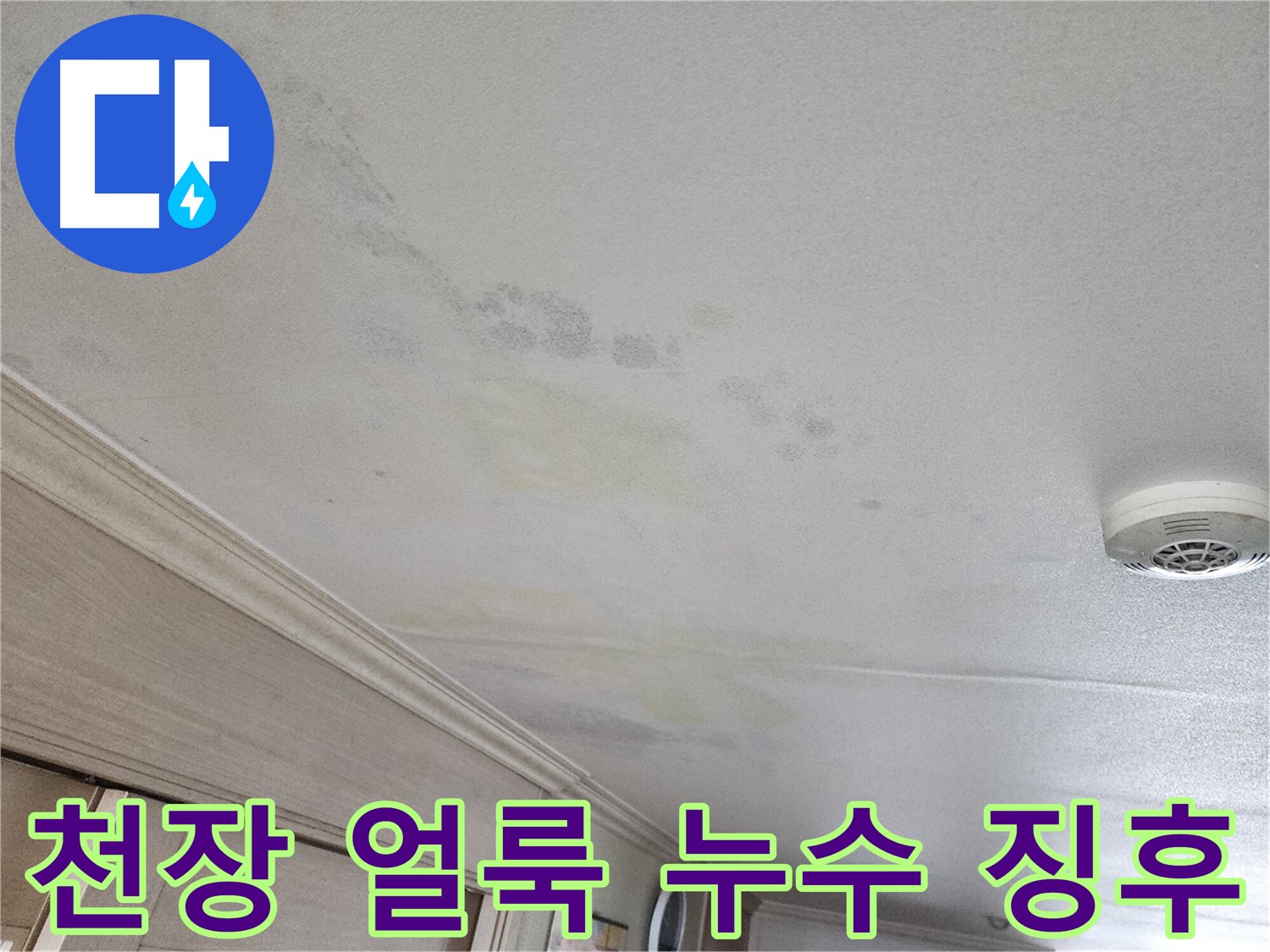 철산동 두산위브 103동 아파트 천장 얼룩 - 누수 징후 확인