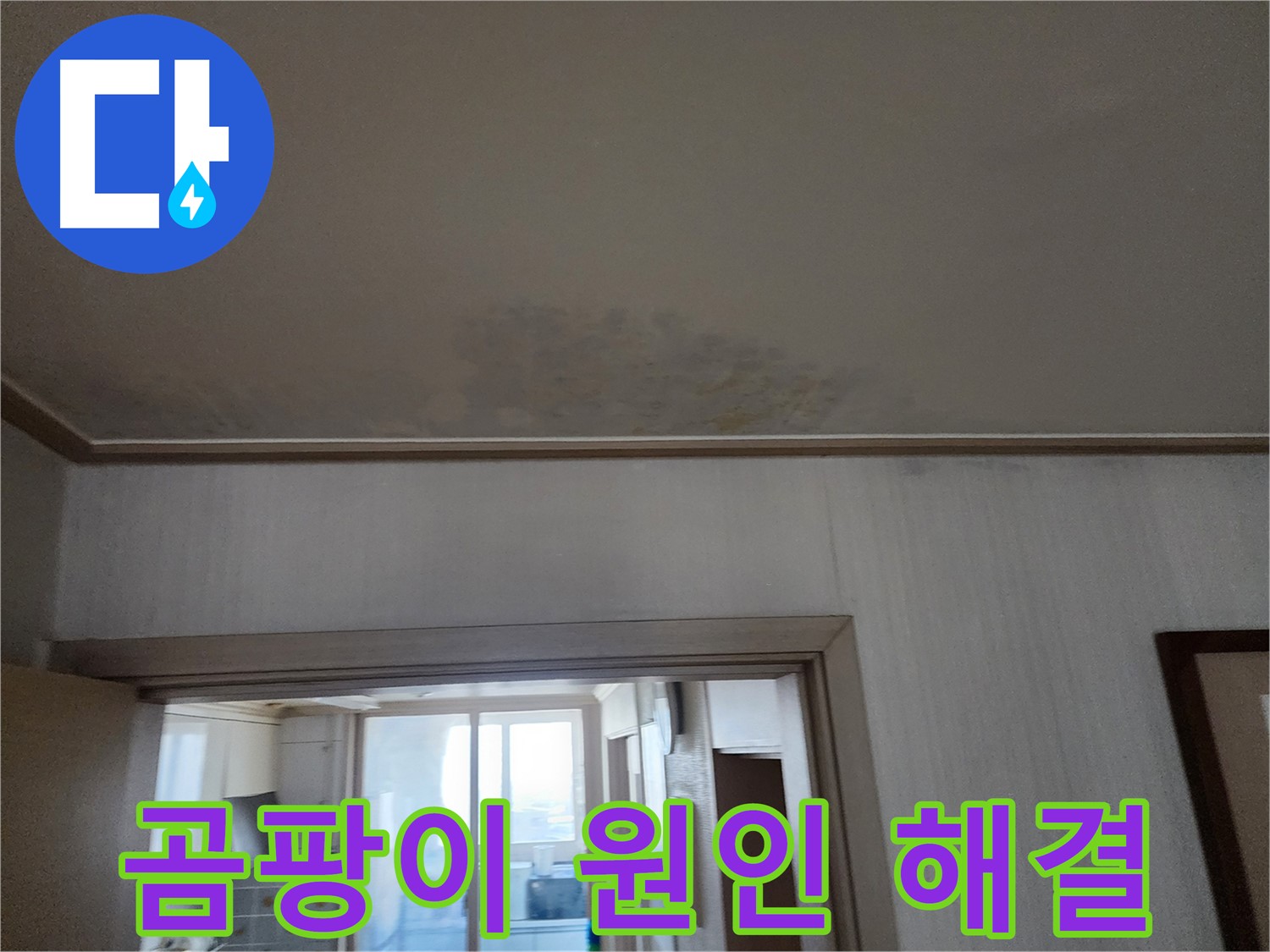 철산동 두산위브 아파트 천장 누수 및 곰팡이 원인 진단 및 해결 - 누수 전문가가 누수와 곰팡이 원인을 파악하고 해결합니다.
