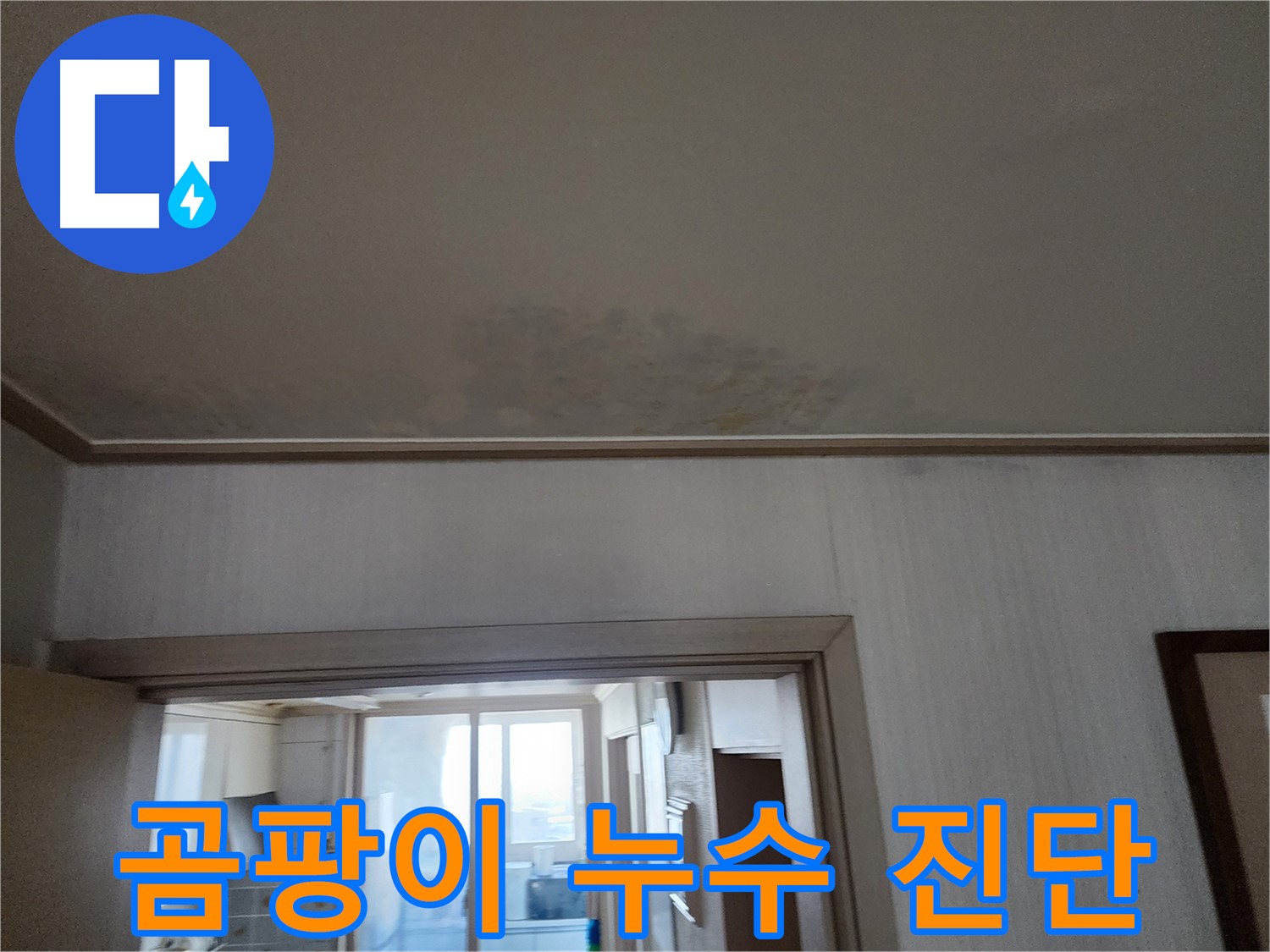 철산동 두산위브 아파트 천장 누수 및 곰팡이 진단 - 누수 전문가가 누수와 곰팡이 상태를 진단합니다.
