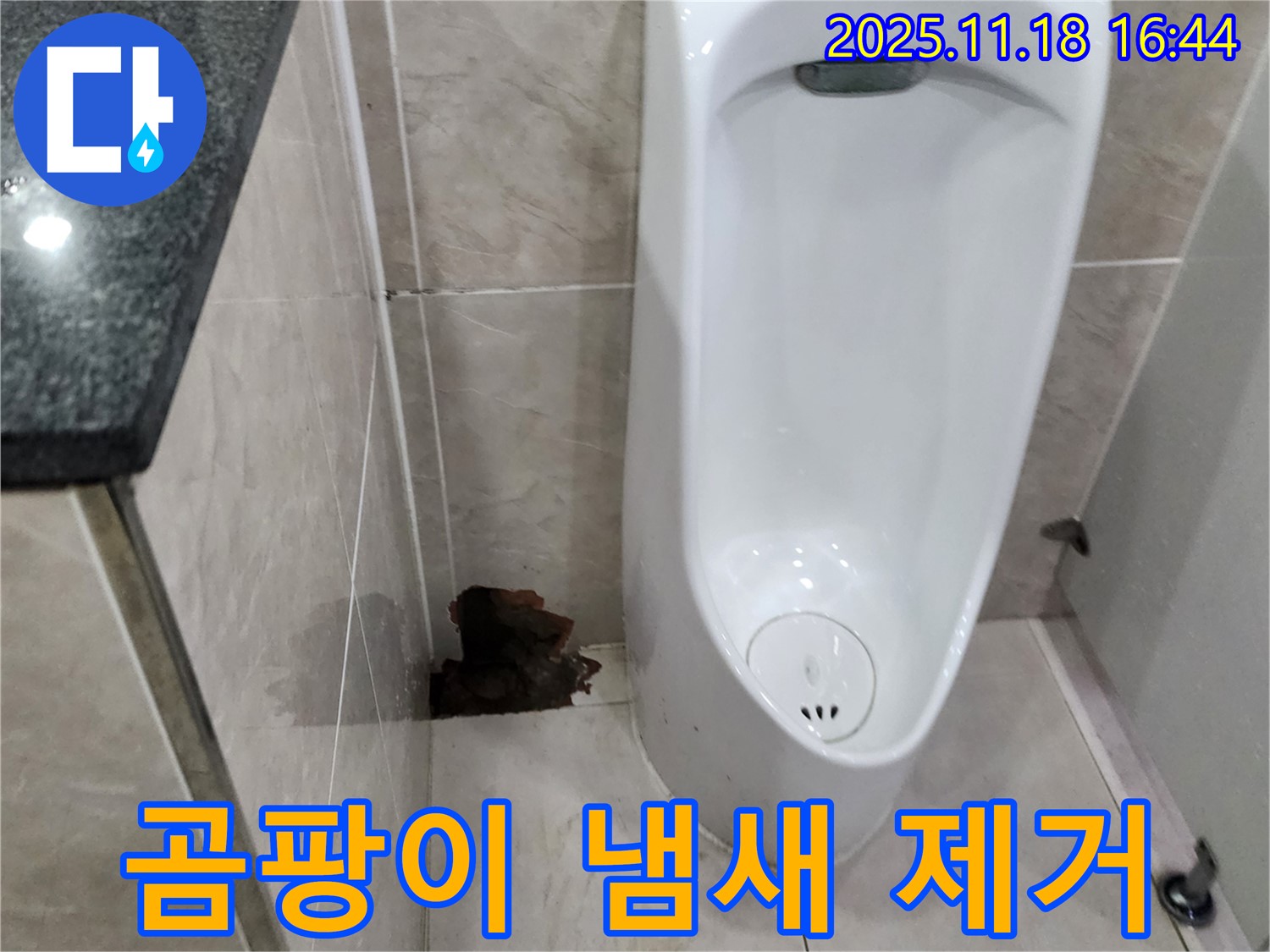 소학리 소변기 누수 - 곰팡이 냄새 제거까지 완벽하게